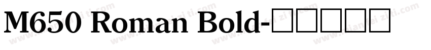 M650 Roman Bold字体转换